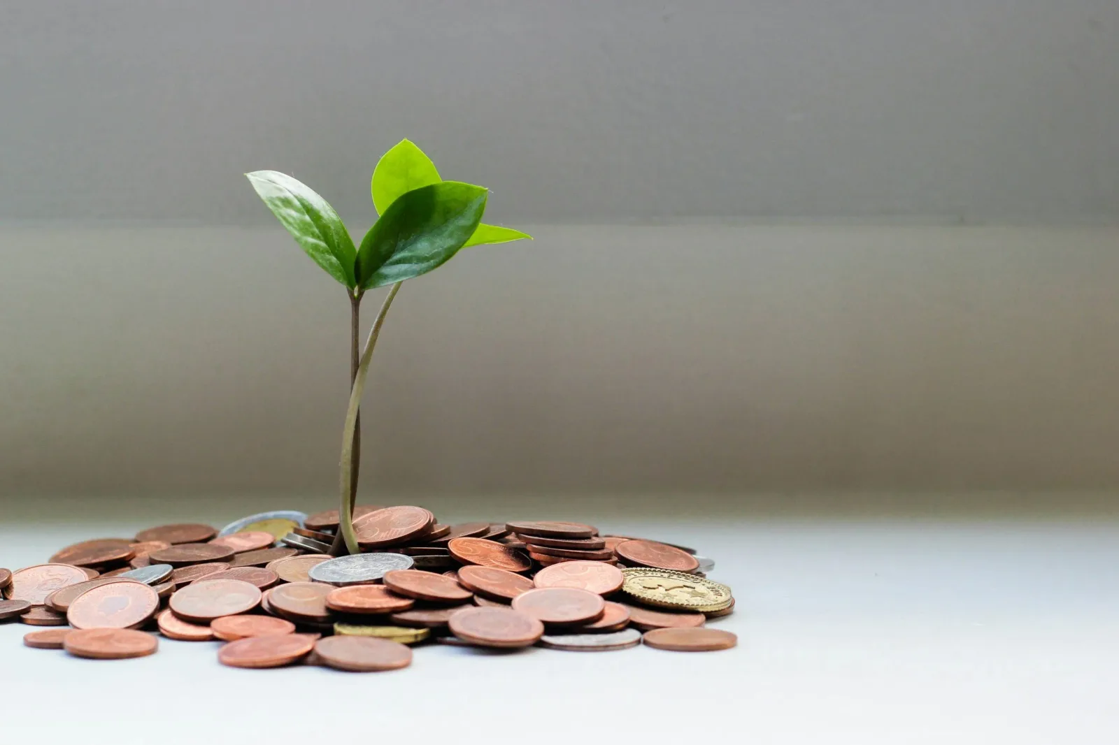 Fintech with a Mission: How Purpose Drives Profit